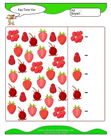 Kaç Tane Var Çalışma Sayfaları
